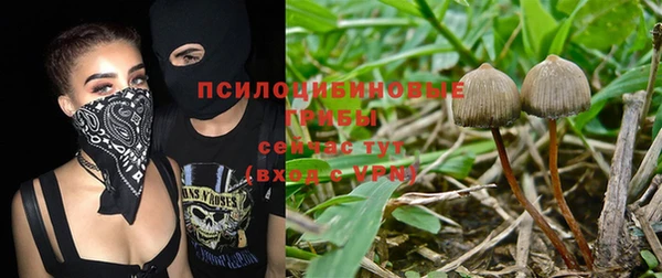 прущий лед Алзамай