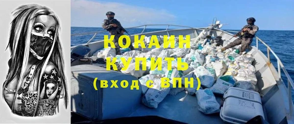 прущий лед Алзамай