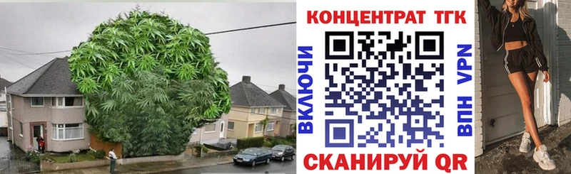 купить наркотики сайты  Губкин  ТГК гашишное масло 