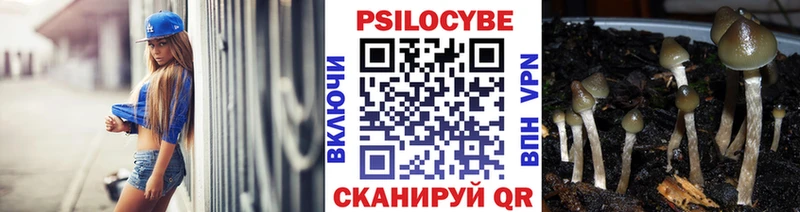 Псилоцибиновые грибы мухоморы  OMG ссылка  Губкин 