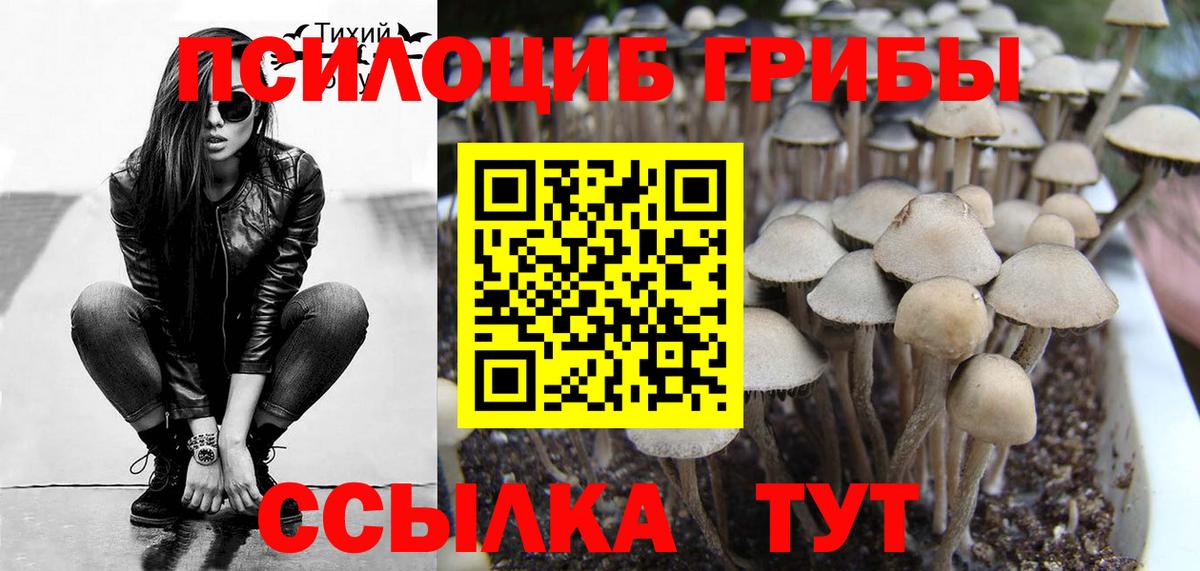 Псилоцибиновые грибы ЛСД  Вход с VPN  Губкин 